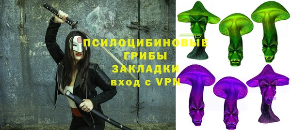 прущая мука Козловка