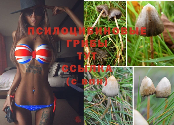 гашиш Киреевск