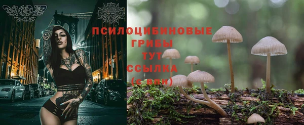 винт Кинешма
