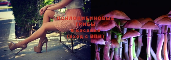 прущая мука Козловка