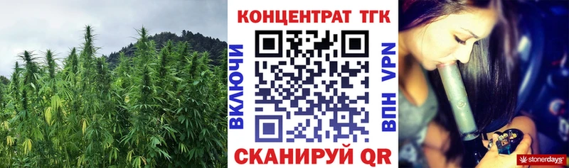 Купить закладки  Пущино  Дистиллят ТГК вейп с тгк 