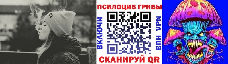 Галлюциногенные грибы Psilocybine cubensis  Купить закладки  Пущино 